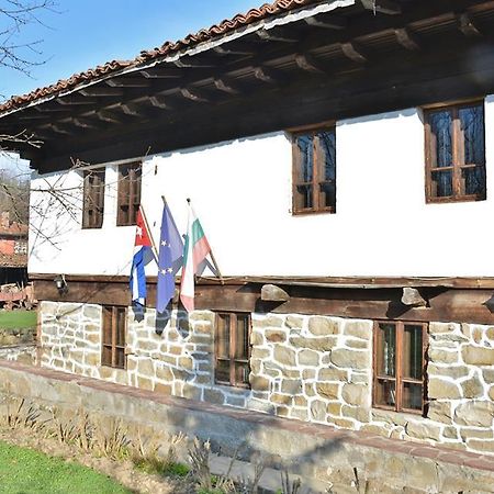 Ecopark Elena Hotel Kültér fotó