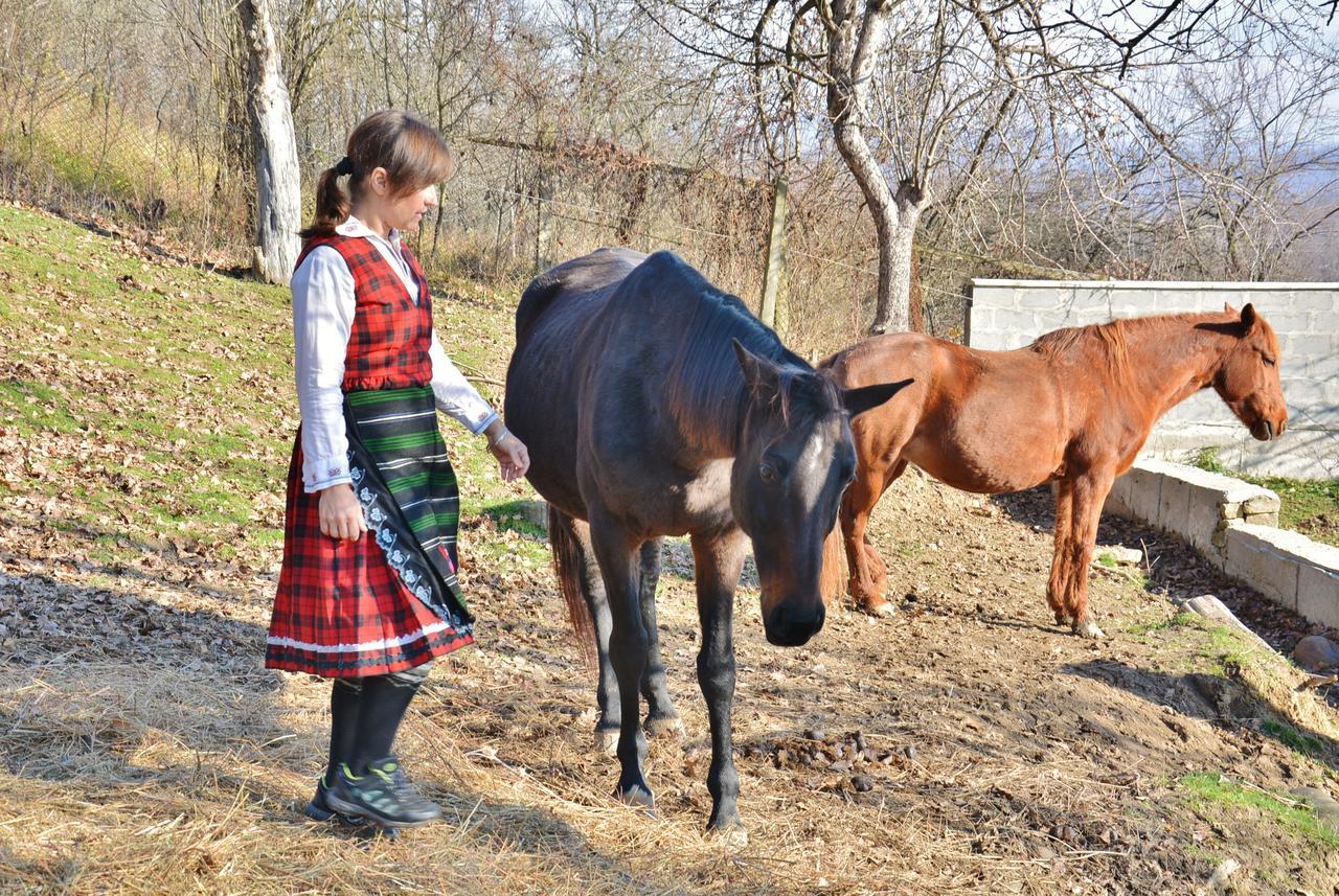Ecopark Elena Hotel Kültér fotó