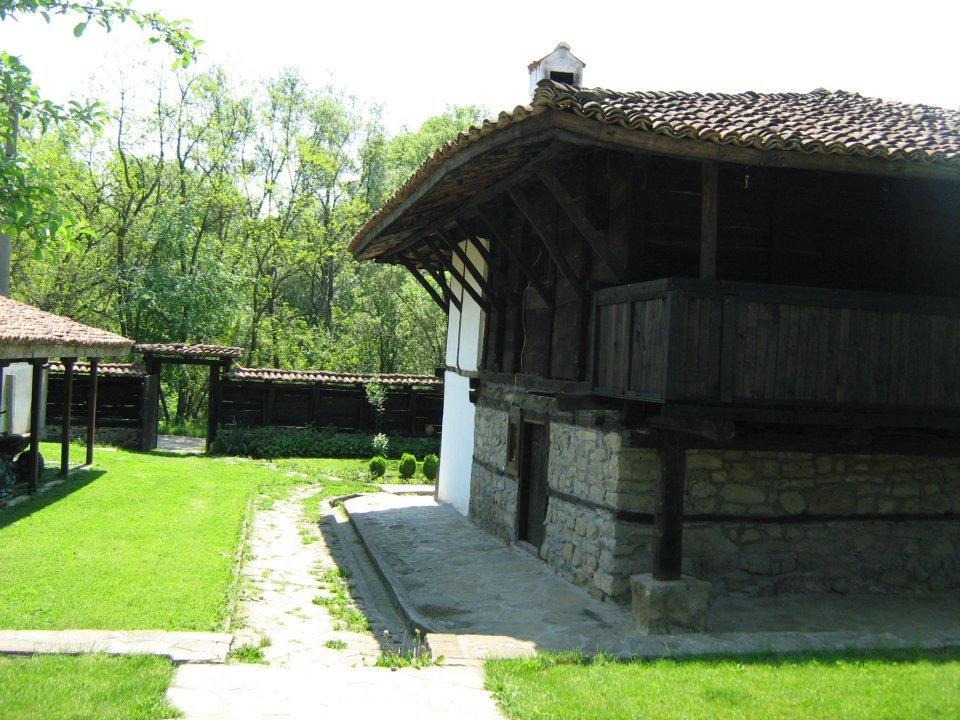 Ecopark Elena Hotel Kültér fotó