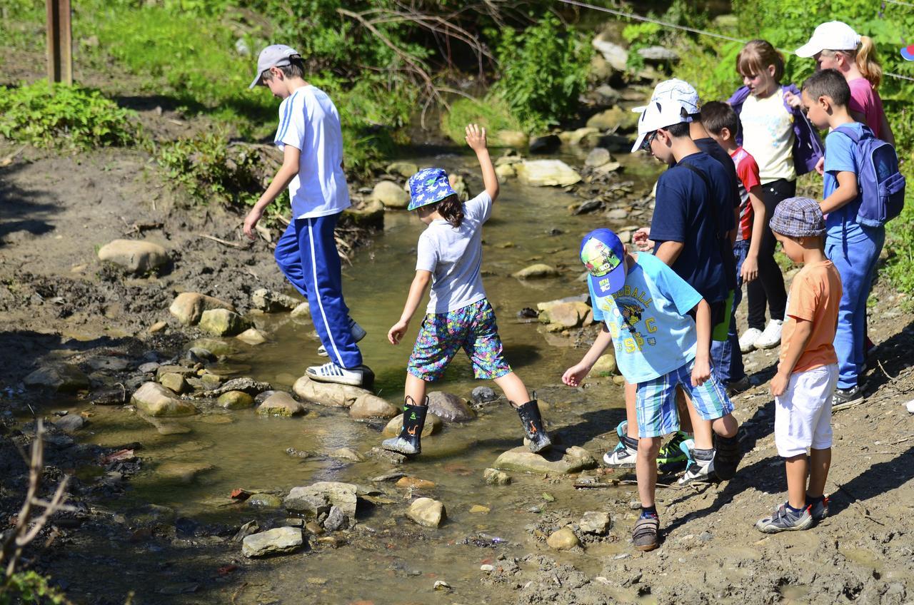 Ecopark Elena Hotel Kültér fotó