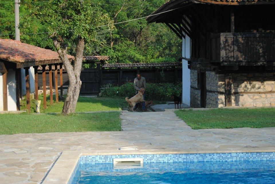 Ecopark Elena Hotel Kültér fotó