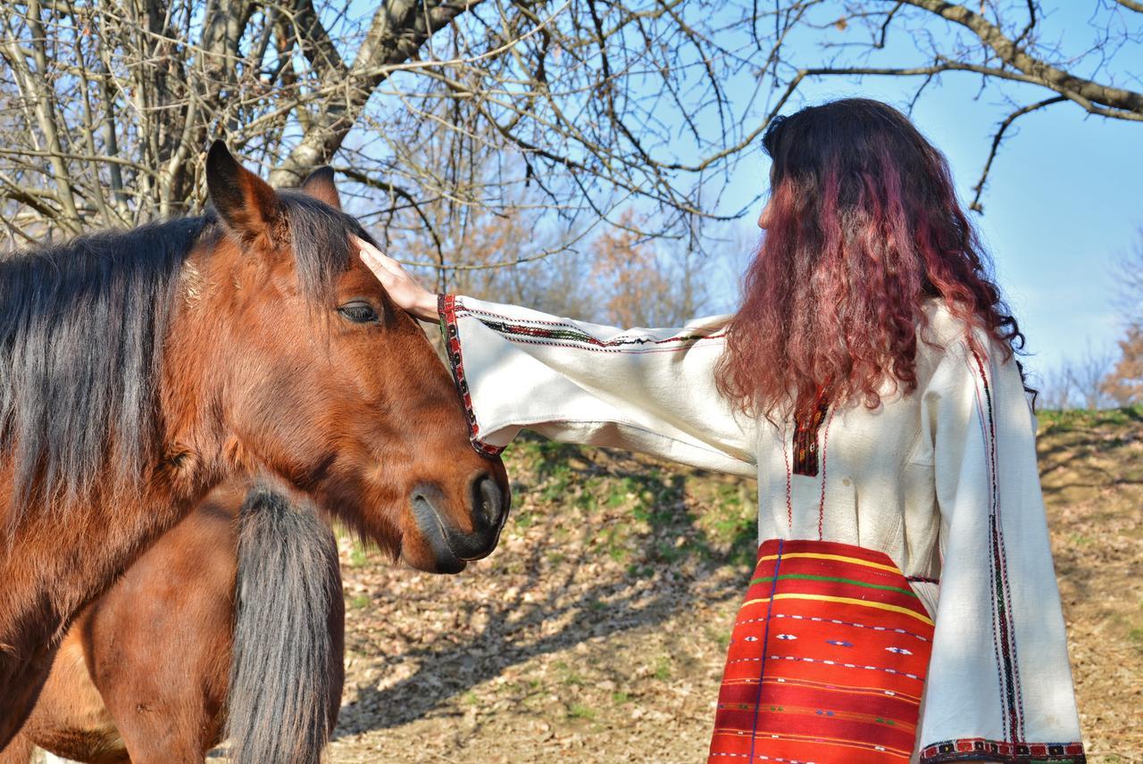 Ecopark Elena Hotel Kültér fotó