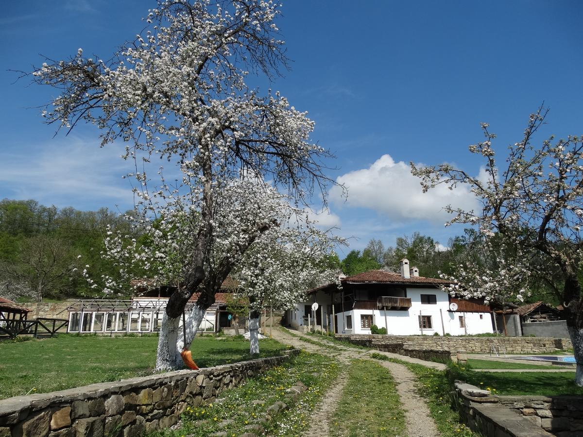 Ecopark Elena Hotel Kültér fotó