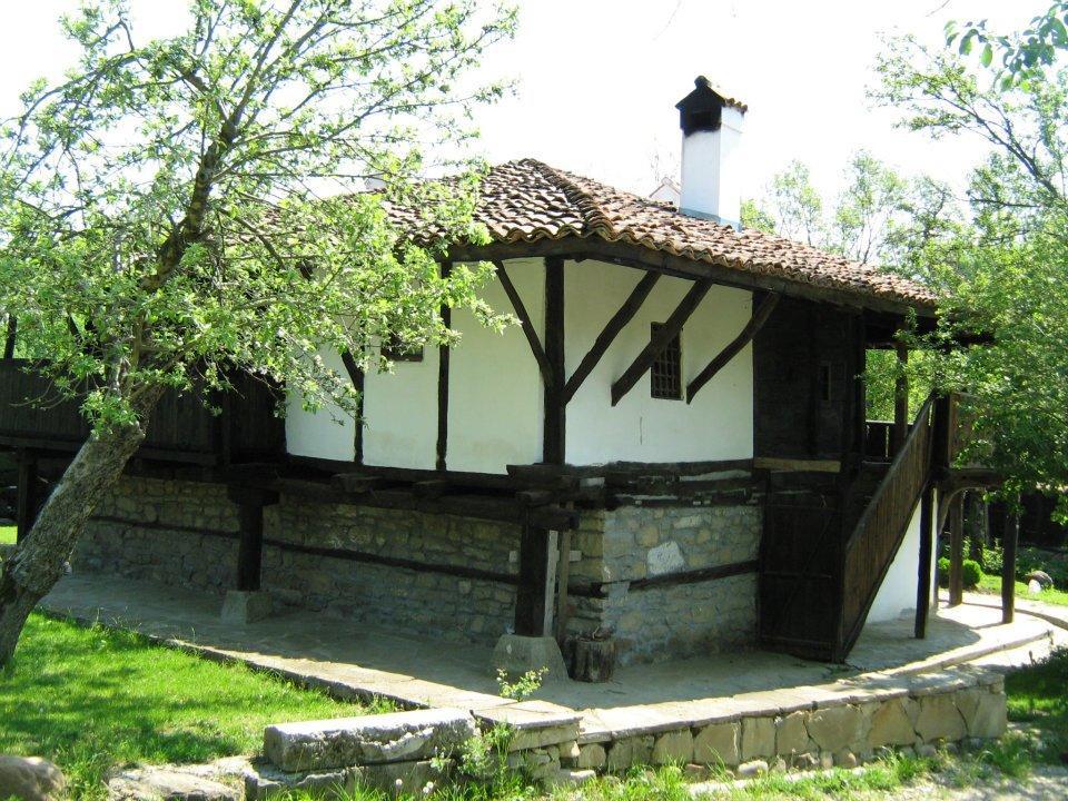 Ecopark Elena Hotel Kültér fotó
