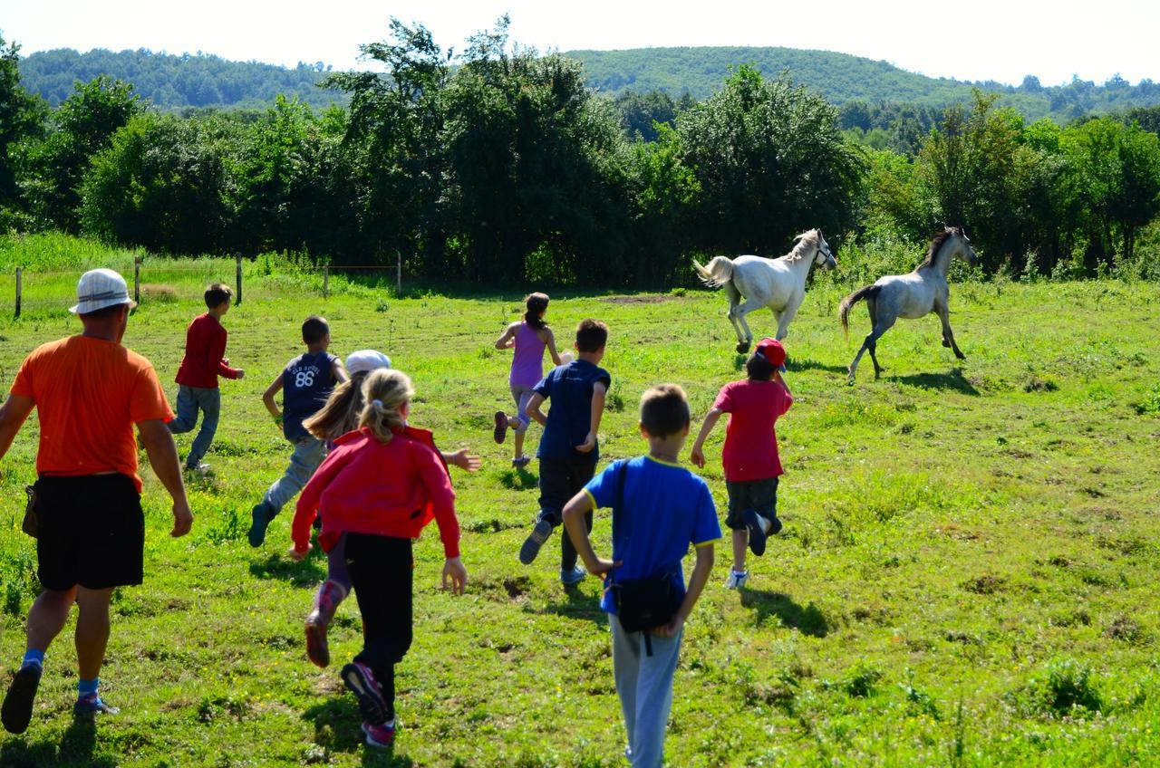 Ecopark Elena Hotel Kültér fotó