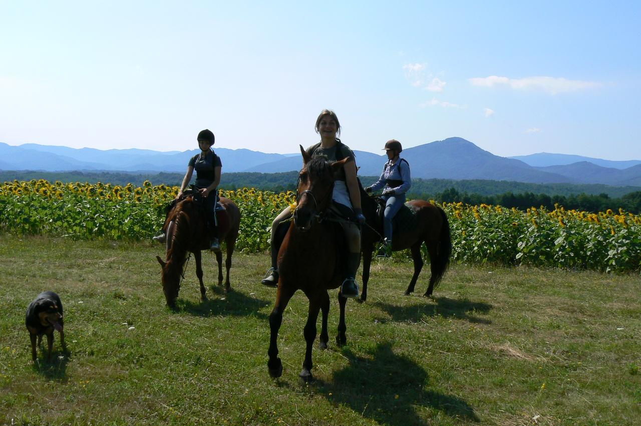 Ecopark Elena Hotel Kültér fotó