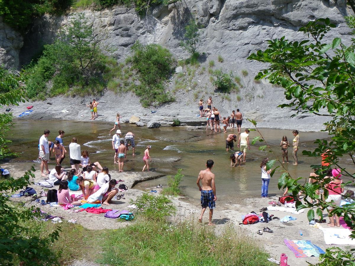 Ecopark Elena Hotel Kültér fotó