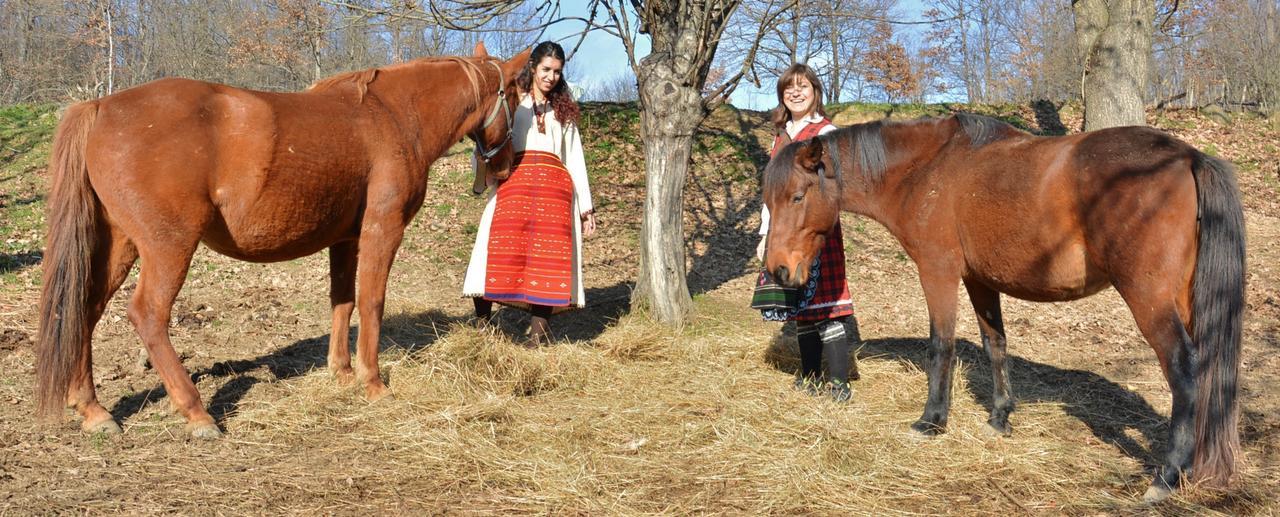 Ecopark Elena Hotel Kültér fotó